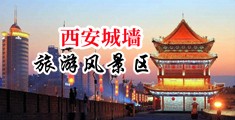 后入xoxo猛男中国陕西-西安城墙旅游风景区