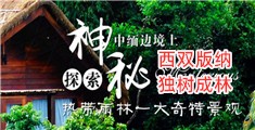 大鸡巴网址