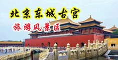 操的婊子流水的电影中国北京-东城古宫旅游风景区